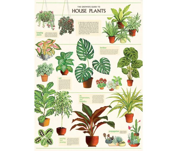 Affiche Plantes d'intérieur - Cavallini