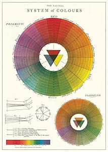 Affiche roue chromatique - Cavallini