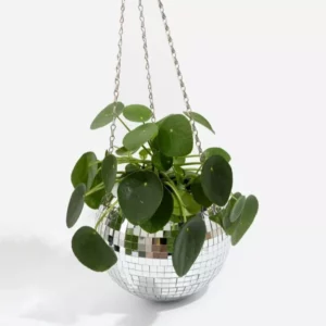 cache-pot-a-plante-disco