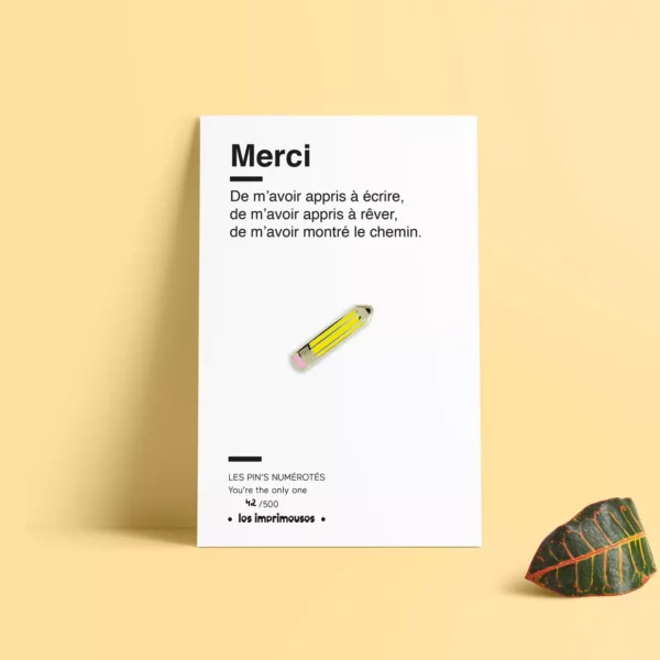 Pin's pour Maitresse/Maitre – Image 2