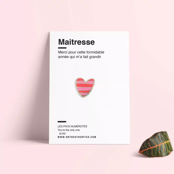Pin's pour Maitresse/Maitre
