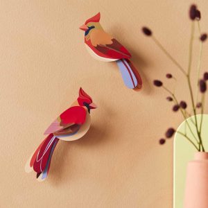 Garden Birds - Cardinals