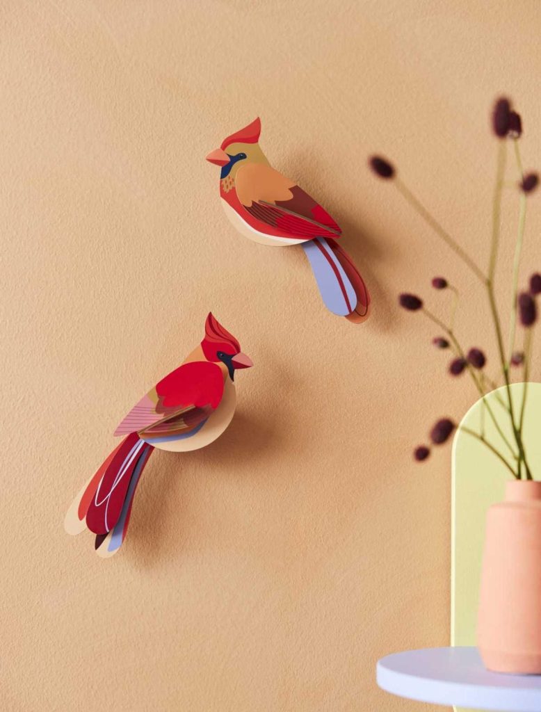 garden-birds-cardinals