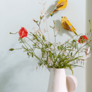 Garden Birds - Citrinella Pair