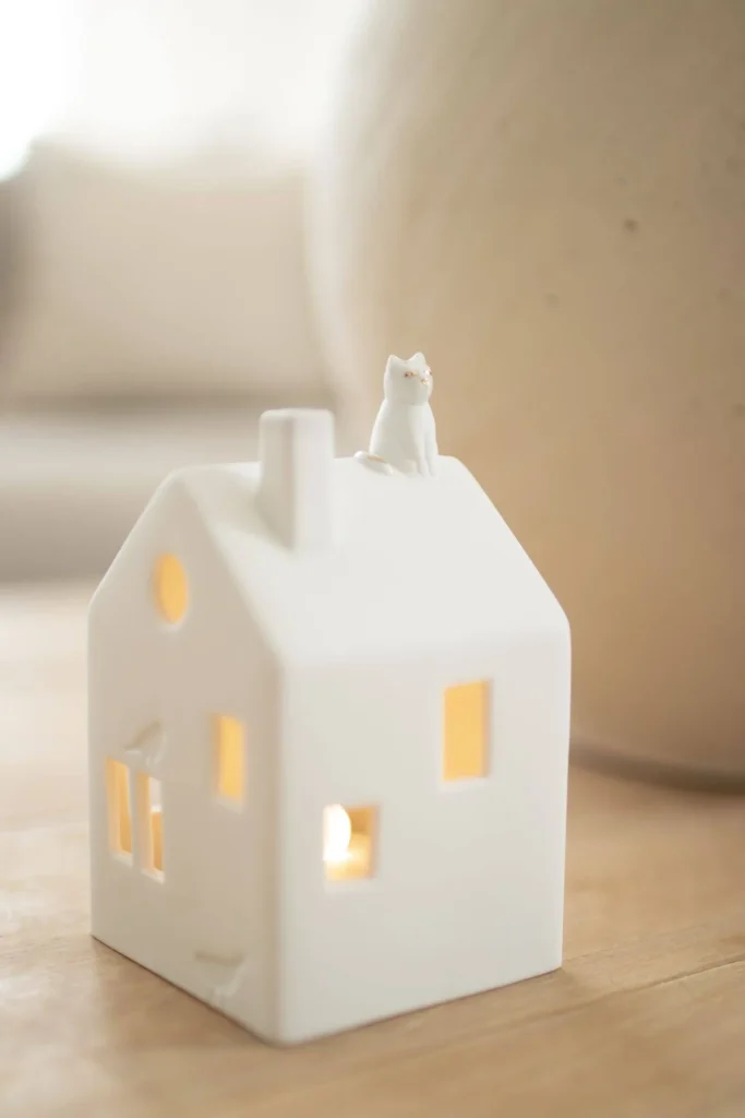 light-house-cat