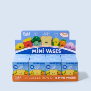 surprise-box-mini-vase
