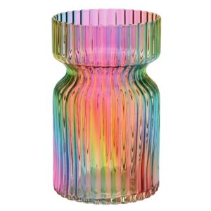 vase-irise-multicolore-19-cm